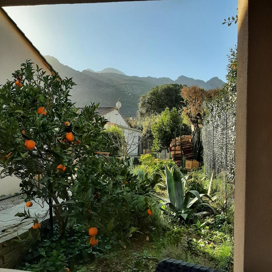Mini Villa Marcel Classee 3 Etoiles Calenzana Exterior photo